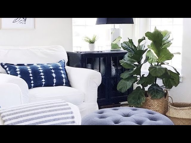 Papel Pintado Náutico y Marinero: Ideas y Consejos para Decorar tu Hogar
